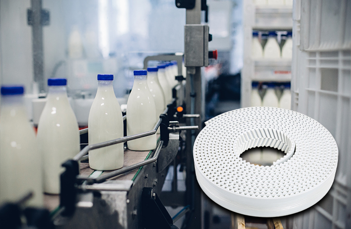 A polyurethane timing belt—distinguished by its high-precision transmission, absence of slippage, and quiet operation—is currently driving a milk bottle filling and conveying line within a dairy processing facility.